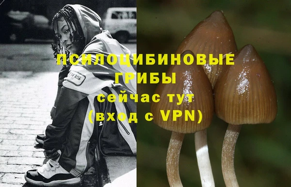 кокаин премиум Яровое