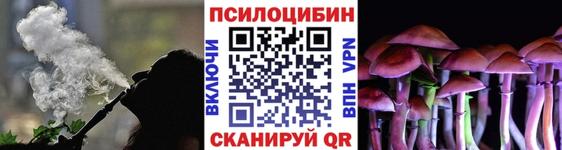 маркетплейс Telegram Брянск Псилоцибиновые грибы Magic Shrooms