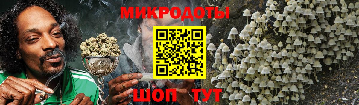 Брянск  Галлюциногенные грибы прущие грибы  Вход с VPN 